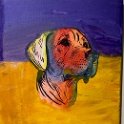 IMG_1535