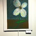IMG_9588